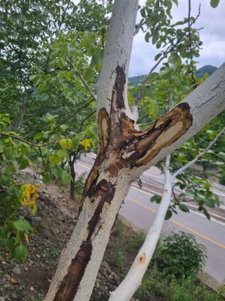 김용대님의 자유주제 · 자유게시판 작성글 사진