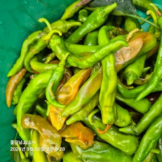 김진님의 자유주제 · 자유게시판 작성글 사진