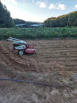 중딩농부정성엽님의 자유주제 · 자유게시판 작성글 사진
