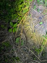 팜모닝 자유주제·자유게시판 게시글 이미지