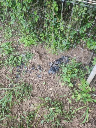 한상경님의 자유주제 · 자유게시판 작성글 사진