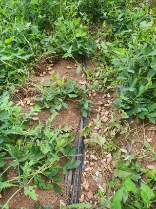 한상경님의 자유주제 · 자유게시판 작성글 사진