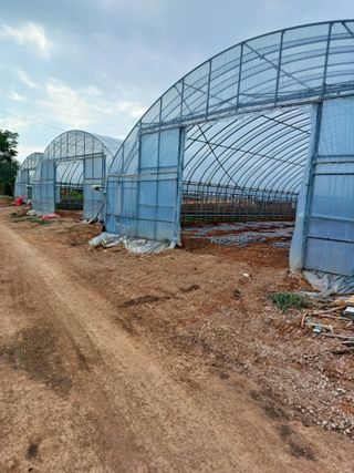 결단이님의 파 · 영농일지 작성글 사진