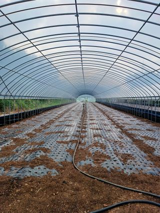 결단이님의 파 · 영농일지 작성글 사진