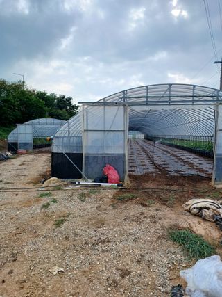 결단이님의 파 · 영농일지 작성글 사진