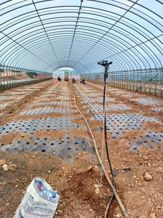 결단이님의 파 · 영농일지 작성글 사진