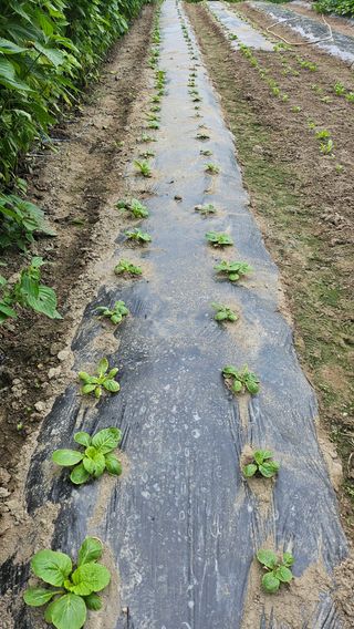 시아님의 자유주제 · 자유게시판 작성글 사진