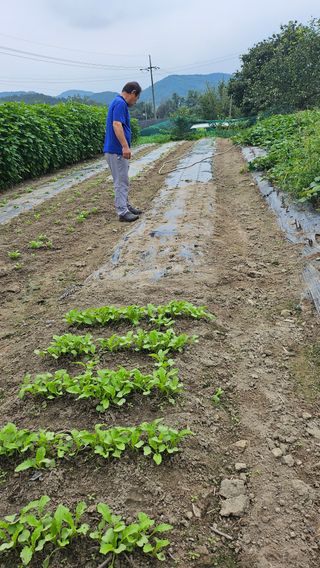 시아님의 자유주제 · 자유게시판 작성글 사진