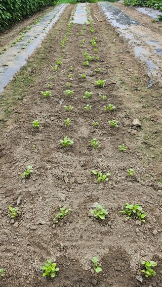 시아님의 자유주제 · 자유게시판 작성글 사진