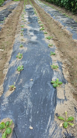 시아님의 자유주제 · 자유게시판 작성글 사진