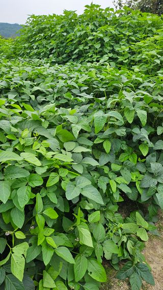 시아님의 자유주제 · 자유게시판 작성글 사진