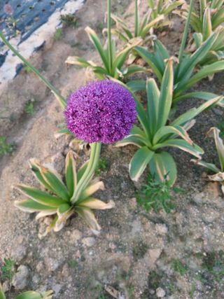 Pjs8762143님의 9월 농사계획 공유하기 · 참여글 작성글 사진