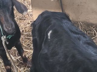 (천지산)님의 자유주제 · 사진전 작성글 사진