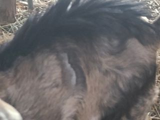 (천지산)님의 자유주제 · 사진전 작성글 사진