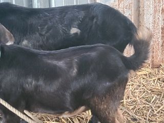 (천지산)님의 자유주제 · 사진전 작성글 사진