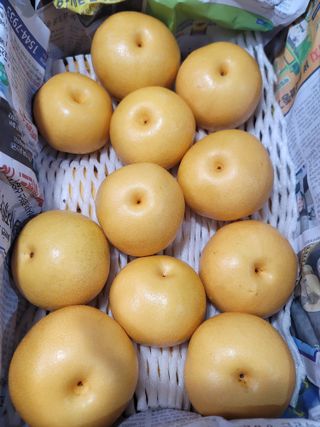 장재농원 최재석님의 배 · 영농일지 작성글 사진