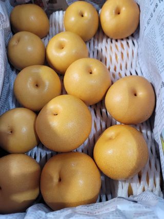 장재농원 최재석님의 배 · 영농일지 작성글 사진