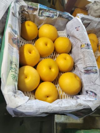 장재농원 최재석님의 배 · 영농일지 작성글 사진