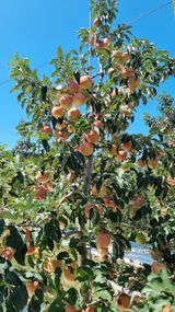 팜모닝 자유주제·자유게시판 게시글 이미지