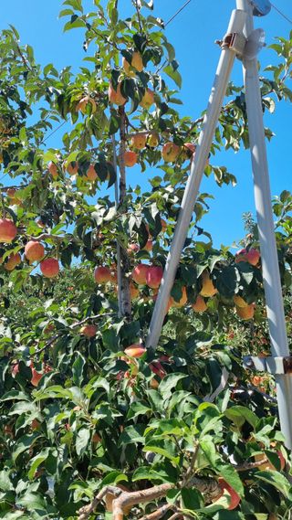 조동원님의 자유주제 · 자유게시판 작성글 사진