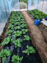 팜모닝 자유주제·자유게시판 게시글 이미지