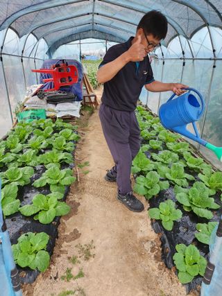 보은 김영순님의 자유주제 · 자유게시판 작성글 사진