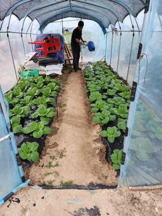 보은 김영순님의 자유주제 · 자유게시판 작성글 사진