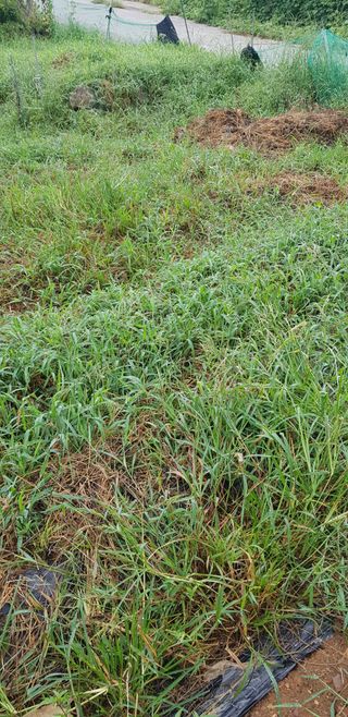 김건우님의 9월 농사계획 공유하기 · 참여글 작성글 사진