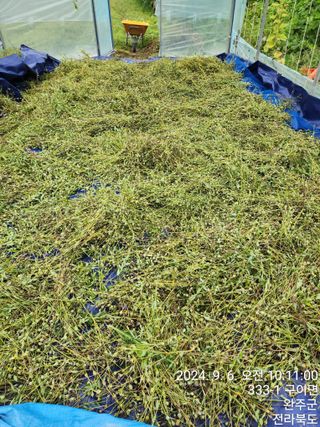 약도라지6018님의 기타작물 · 영농일지 작성글 사진