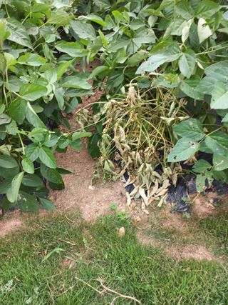 심무재 님의 자유주제 · 자유게시판 작성글 사진