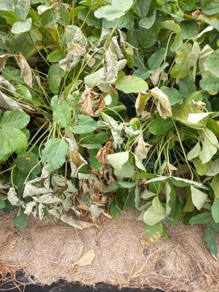 심무재 님의 자유주제 · 자유게시판 작성글 사진