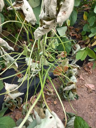 심무재 님의 자유주제 · 자유게시판 작성글 사진