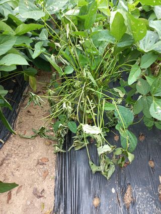 심무재 님의 자유주제 · 자유게시판 작성글 사진