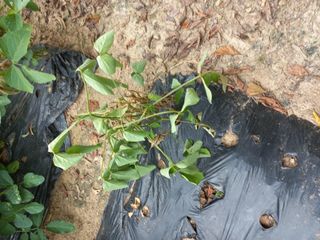 심무재 님의 자유주제 · 자유게시판 작성글 사진