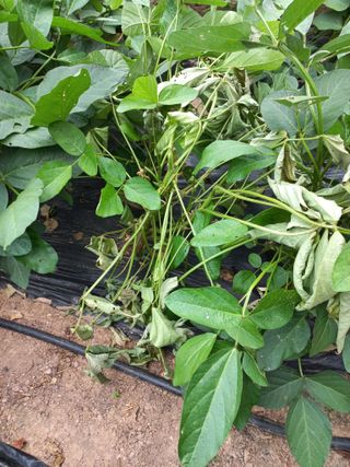 심무재 님의 자유주제 · 자유게시판 작성글 사진