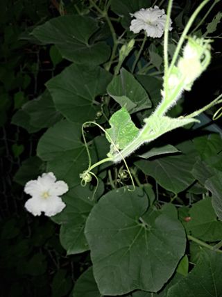 사구실첫집님의 자유주제 · 자유게시판 작성글 사진