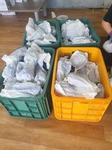 팜모닝 자유주제·사진전 게시글 이미지