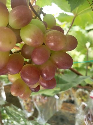 김재덕님의 자유주제 · 사진전 작성글 사진