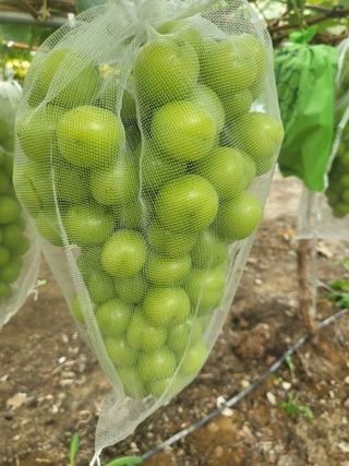 김재덕님의 자유주제 · 사진전 작성글 사진