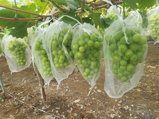 김재덕님의 자유주제 · 사진전 작성글 사진