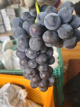 김재덕님의 자유주제 · 사진전 작성글 사진