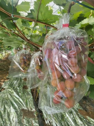 김재덕님의 자유주제 · 사진전 작성글 사진