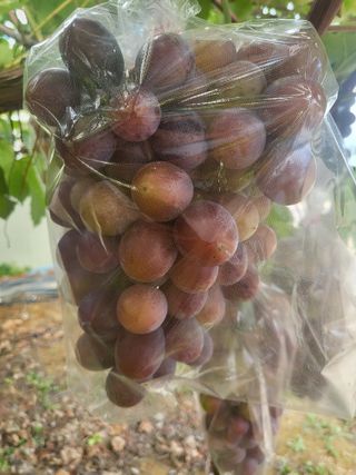 김재덕님의 자유주제 · 사진전 작성글 사진