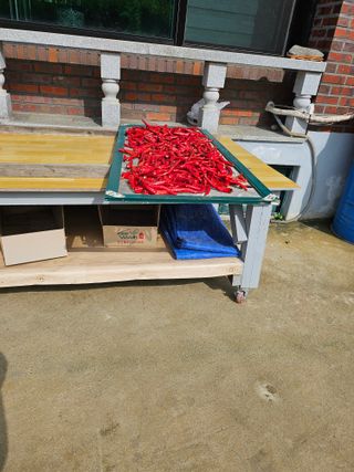 충남공주이도은님의 자유주제 · 자유게시판 작성글 사진