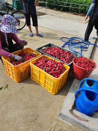 충남공주이도은님의 자유주제 · 자유게시판 작성글 사진