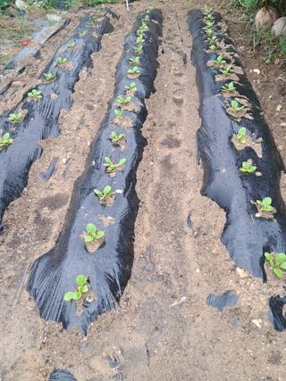 전희분님의 자유주제 · 자유게시판 작성글 사진