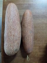 팜모닝 자유주제·자유게시판 게시글 이미지