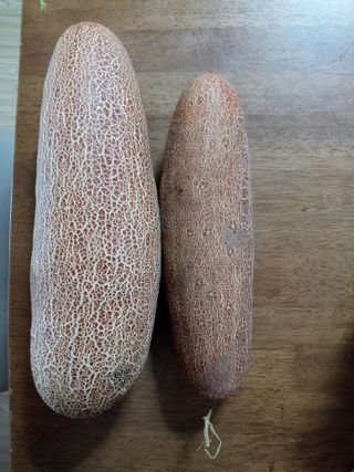 두릅나무16580님의 자유주제 · 자유게시판 작성글 사진