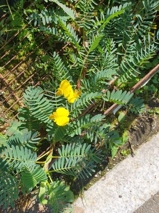 안비님의 자유주제 · 자유게시판 작성글 사진