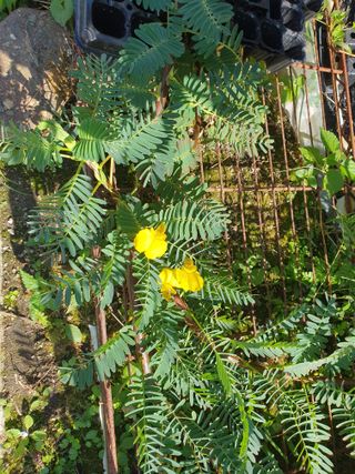 안비님의 자유주제 · 자유게시판 작성글 사진